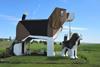Dog Bark Park Inn6